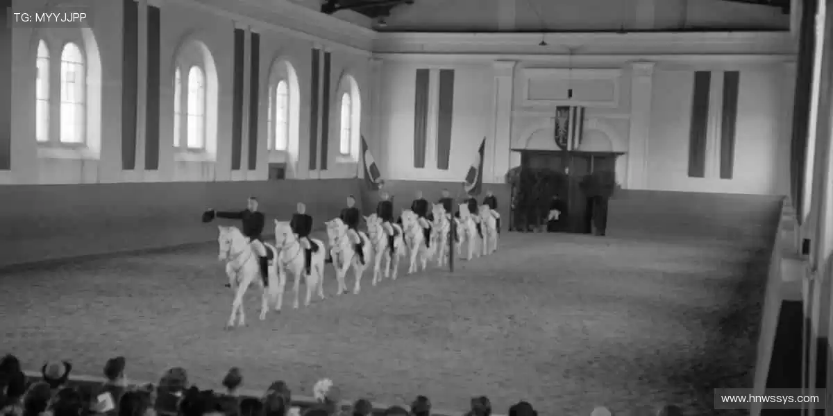 ⏰准时开播,分秒必争!📡稳定流畅,告别卡顿烦恼!